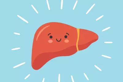 happy healthy liver cartoon