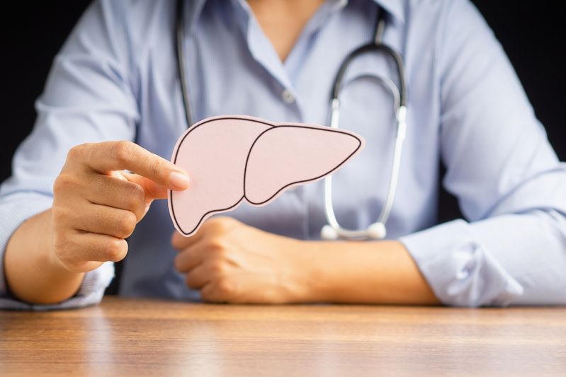 healthcare provider holding illustration of liver